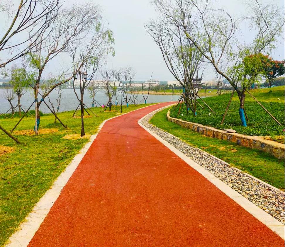 车湾湖生态公园