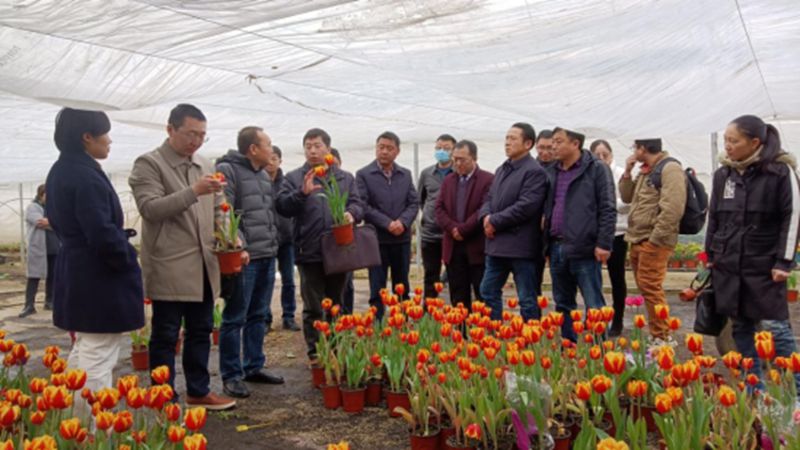 <a href="./xwzx/ezkj/202302/t20230203_521229.html">湖北“科技特派员惠农下乡行”活动走进鄂州</a>