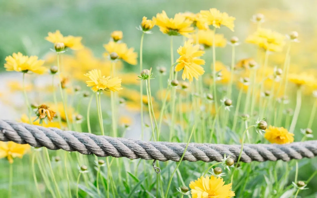 <a href="./rffc/202112/t20211206_446651.html">过得充实的人，都有这六个好习惯</a>