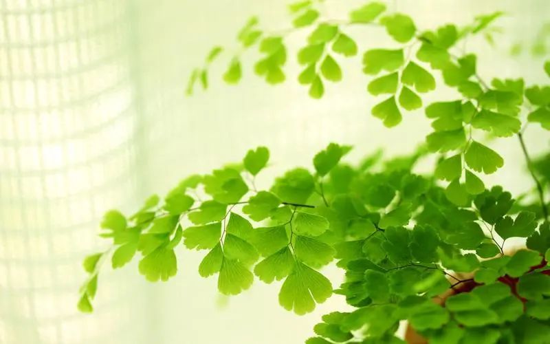 <a href="./rffc/202205/t20220519_468989.html">提升自我的9句话，希望对你有用</a>